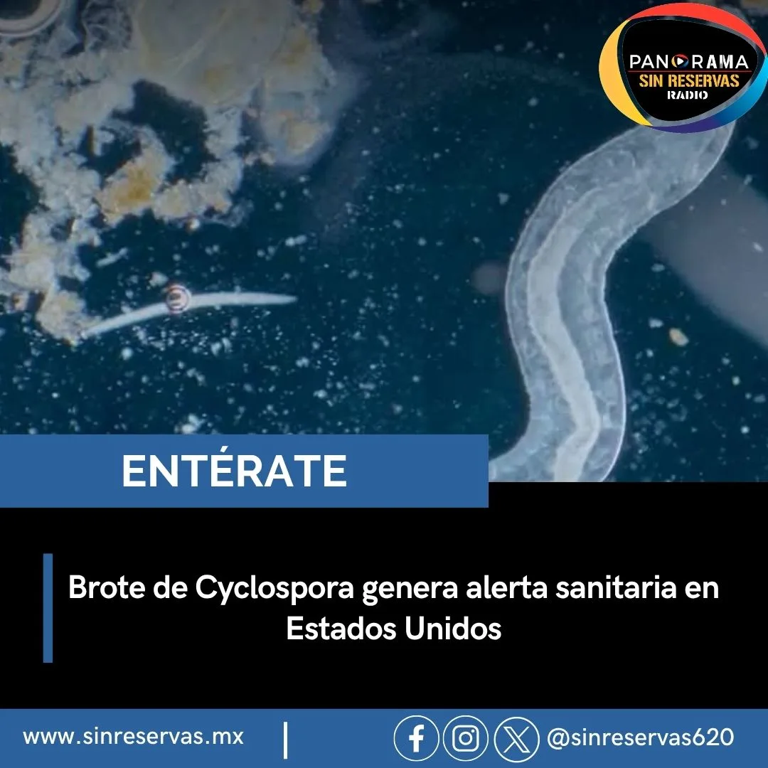 Brote de Cyclospora mantiene en alerta sanitaria a Estados Unidos