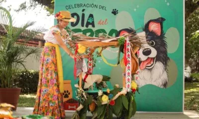 Comalcalco celebra el Día del Perro con concurso de huacalitos alegóricos