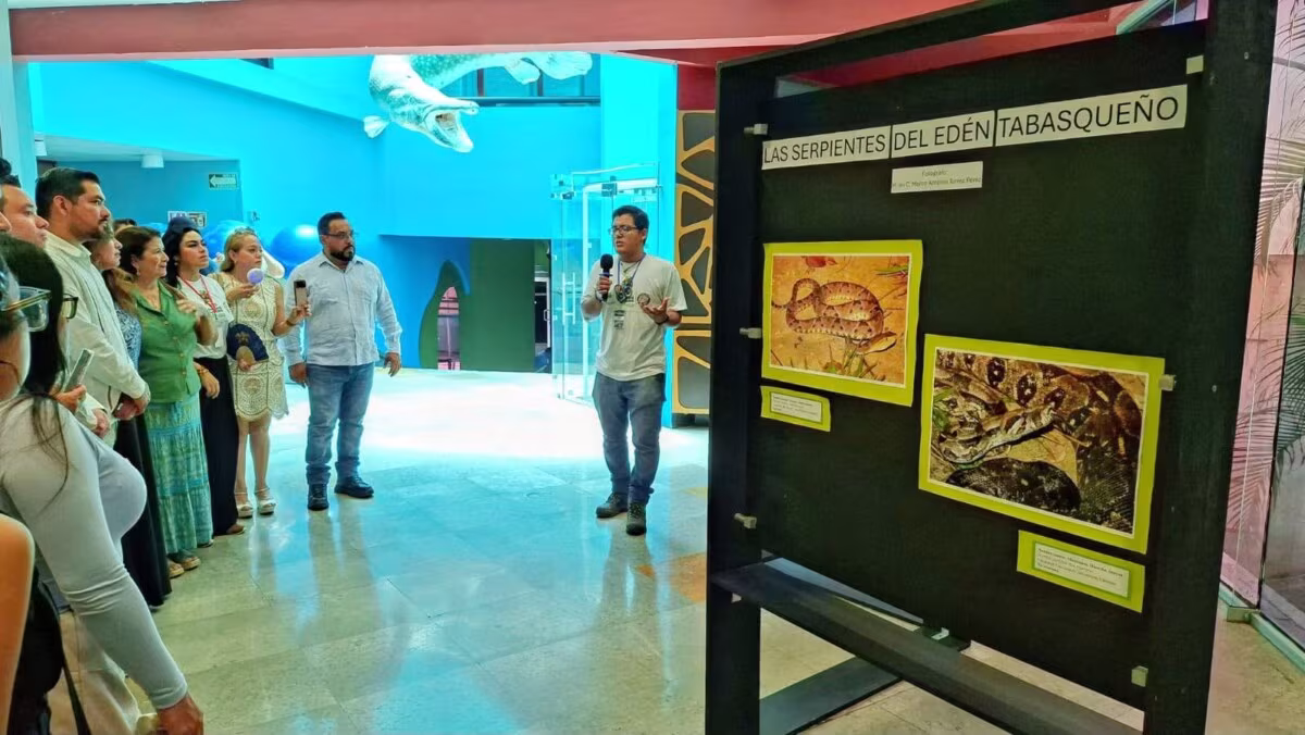 Concluye con éxito el 5.º Festival Mexicano de las Serpientes