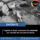Empresaria es asesinada frente a su hijo durante discusión por presunta deuda en Brasil