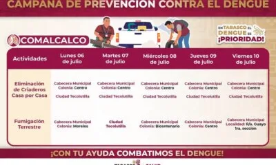 ¡Participa y ayuda en el combate contra el dengue eliminando criaderos de mosquitos!