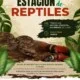 Invitan a conocer la Estación de Reptiles del Museo de Historia Natural