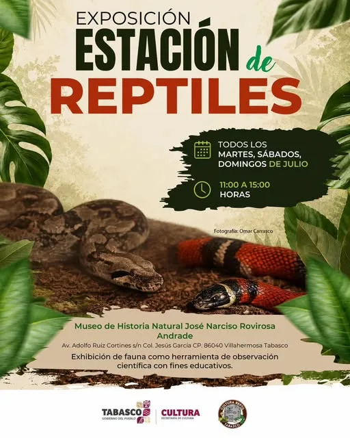 Invitan a conocer la Estación de Reptiles del Museo de Historia Natural