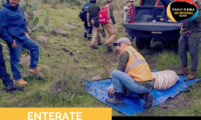 Muere tigre de bengala “Kenzo” horas después de ser capturado en operativo en Edomex