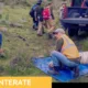 Muere tigre de bengala “Kenzo” horas después de ser capturado en operativo en Edomex