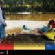 Pescadores de Los Bitzales exigen esclarecer muerte de manatíes en Macuspana